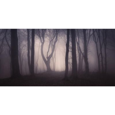 MIRRORANG 120 x 61 cm Spooky Forest Aquarium Background with Branches, Flowers and Fog