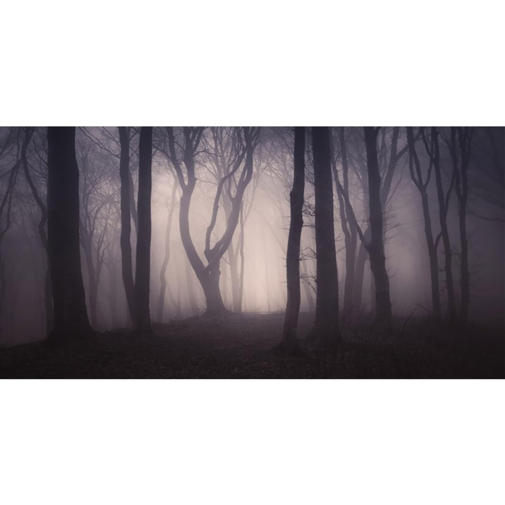 MIRRORANG 120 x 61 cm Spooky Forest Aquarium Background with Branches, Flowers and Fog