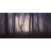 MIRRORANG 120 x 61 cm Spooky Forest Aquarium Background with Branches, Flowers and Fog view 1