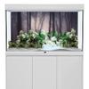 MIRRORANG 120 x 61 cm Spooky Forest Aquarium Background with Branches, Flowers and Fog view 2