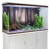MIRRORANG 120 x 61 cm Spooky Forest Aquarium Background with Branches, Flowers and Fog view 3