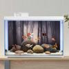 MIRRORANG 120 x 61 cm Spooky Forest Aquarium Background with Branches, Flowers and Fog view 4