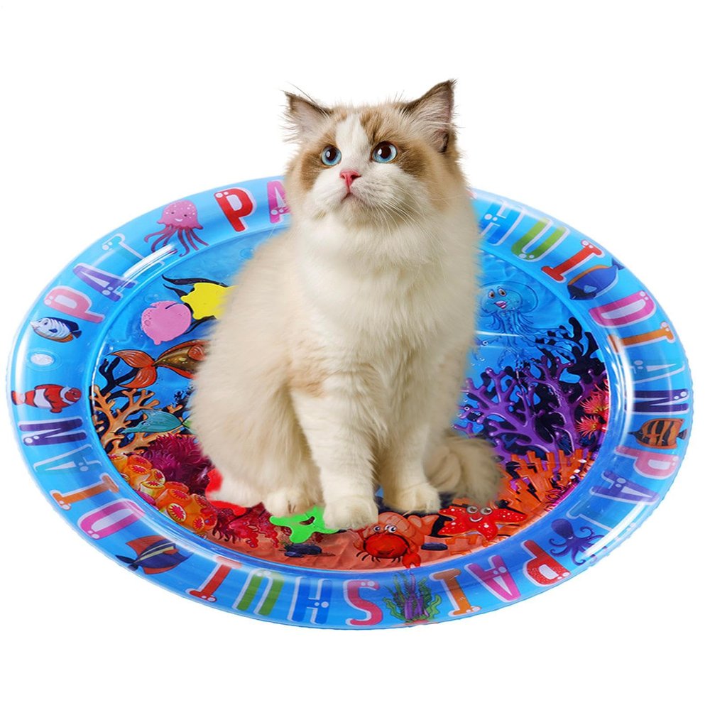 Cat Sensory Water Mat