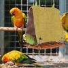Bird Hut Cage Hammock, Scratch-Resistant Rattan-Style Swing view 3