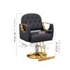 Lijiaxiuyc-101 Hair Salon Styling Chair, Adjustable and Swivel, Black view 2
