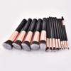 14-Piece Makeup Brush Set with Beauty Tools for Beginners view 2