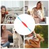 Double-Headed Dog Toothbrush for Effective Dental Care view 4