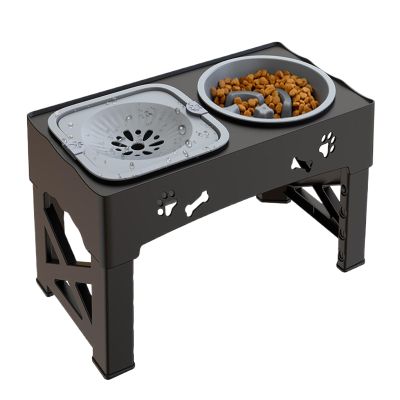 Cat Food Feeder and Water Dispenser with Non-Slip Bowls