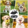 Dog Sun Hat with Sunglasses and Ear Holes view 4