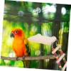 ifundom Wooden Parrot Ladder with Platform for Budgies and Cockatiels view 3