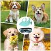 Dog Baseball Cap and Sunglasses Set with UV Protection view 4