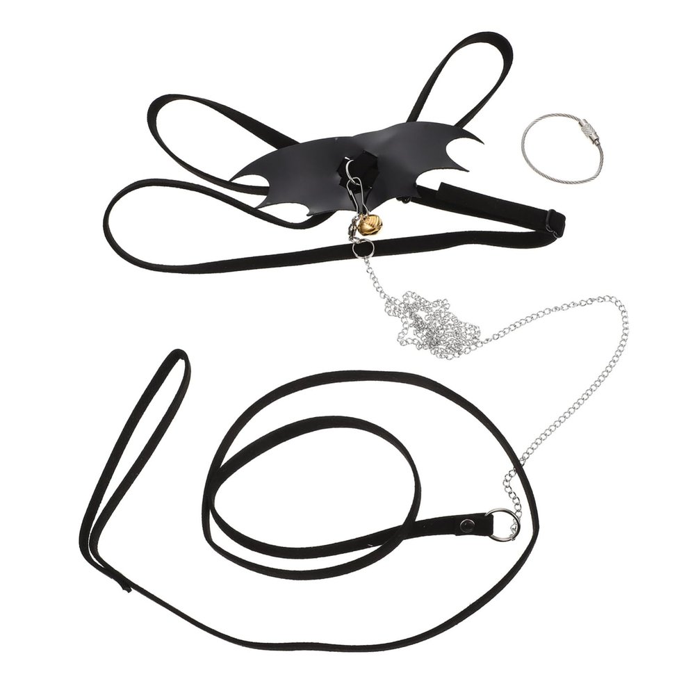 JOINPAYA Reptile Leash for Bearded Dragons and Geckos