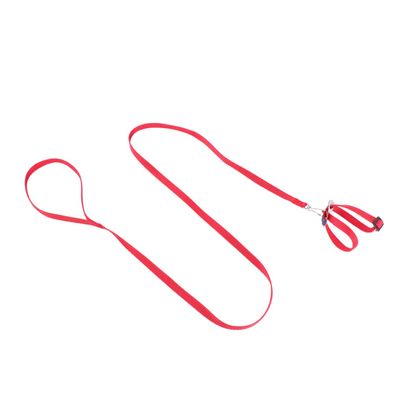 Adjustable Breathable Pet Leash for Birds, Hamsters, Turtles, and Lizards