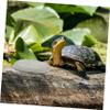 HEMOTON Stone Basking Platforms for Turtle Tanks, 3 Pieces, Flat Surface, Random Color view 4
