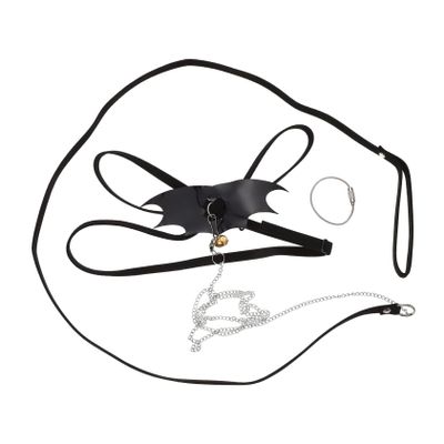 Toyvian Gecko Harness Set with Leash