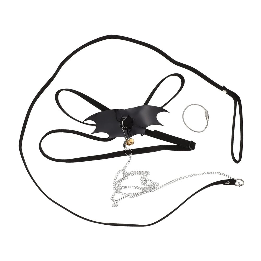 Toyvian Gecko Harness Set with Leash