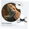 Toyvian Gecko Harness Set with Leash view 3
