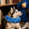 Soft Cone for Dogs, Recovery Collar for Lick and Scratch Protection view 2