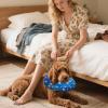 Nexusectar Adjustable Inflatable Recovery Collar for Pets view 2
