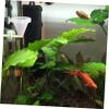 Toddmomy 4-Piece Fish Feeder Set view 2