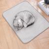 Cooling Mat for Dogs - Non-Slip Ice Silk Blanket view 3