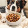 Cat Bowl | Food Dish with Anti-Slip Design view 3