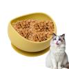 Cat Feeding Bowl with Suction Cups view 1