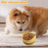 Cat Feeding Bowl with Suction Cups view 2