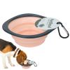 Foldable Dog Bowl with Carabiner for Outdoor Travel view 1