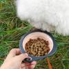 Portable Dog Bowl, Foldable & Lightweight view 3
