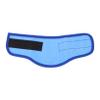 BESTonZON Cooling Dog Bandana - Blue with Dots view 1