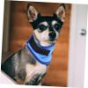 BESTonZON Cooling Dog Bandana - Blue with Dots view 4