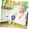 ifundom Dog Bandana for Small Dogs view 4
