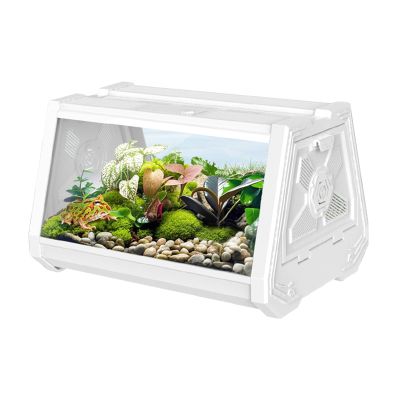 Reptile Terrarium Enclosure