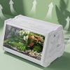 Reptile Terrarium Enclosure view 2