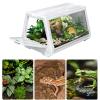 Reptile Terrarium Enclosure view 4