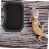 TOYANDONA 10 Pack Reptile Hiding Toys view 4