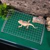 Bearded Dragon Hammock - Stainless Steel Mesh Climbing Bed view 2