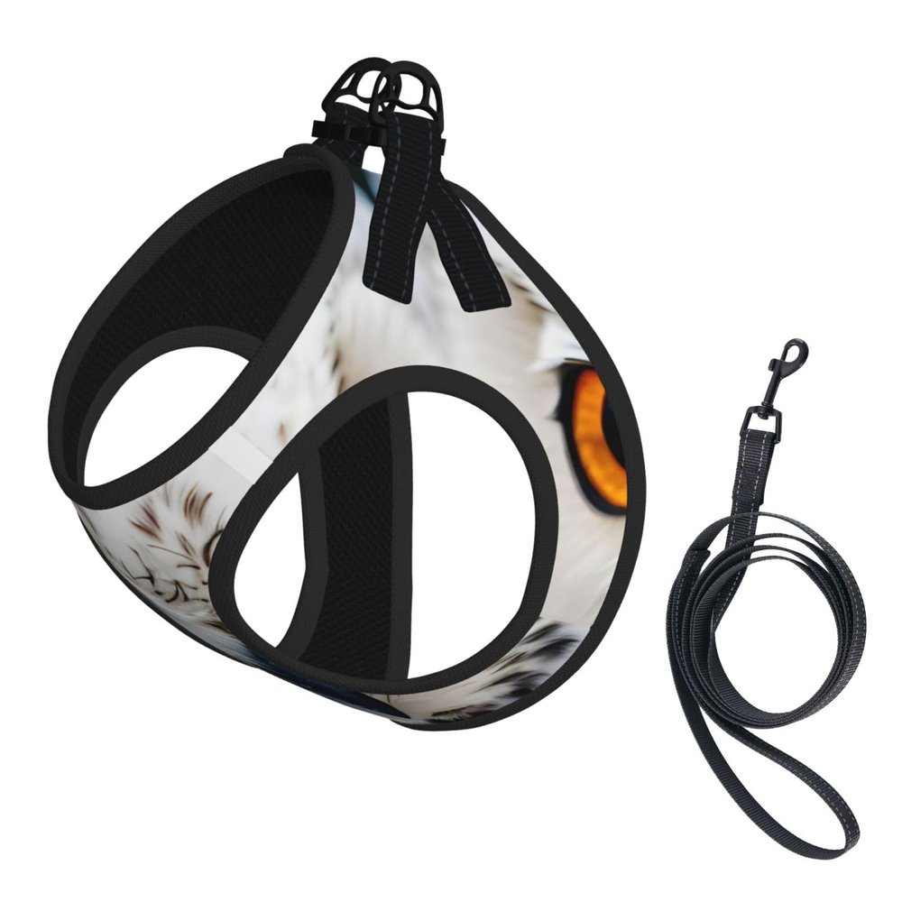 Dog Harness and Leash with Snowy Owl Eyes, Soft Mesh, Padded, No-Pull