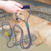 Dog Rope Walking Leash view 2