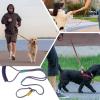Dog Rope Walking Leash view 4
