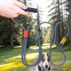 Qoukonao Large Dog Leash view 3