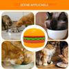 Dog Food Bowl | Slow-Feeder Bowl for Cats view 4