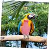 ibasenice Parakeet Flight Suit view 2