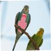 ibasenice Parakeet Flight Suit view 3