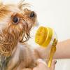 Dog Shampoo Brush for Long and Short Hair with Spray Conditioner view 3