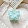 6-Piece Hibiscus Hawaii Hair Clip Set view 4