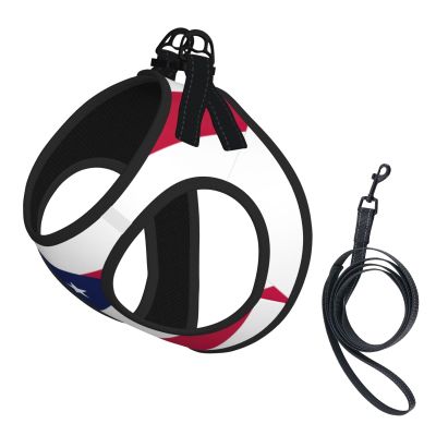 Soft Mesh No-Pull Dog Harness and Leash