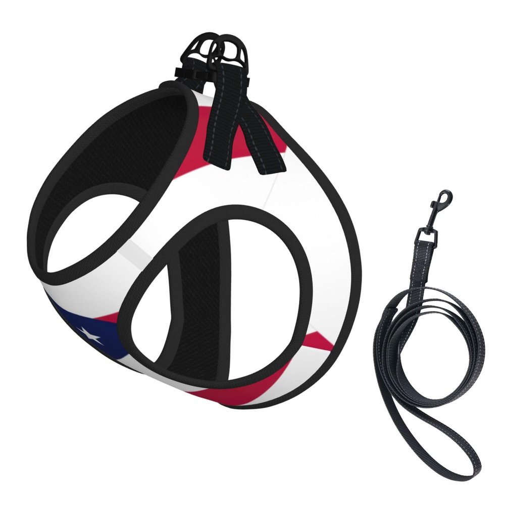 Soft Mesh No-Pull Dog Harness and Leash