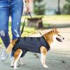Support Harness for Dogs | Adjustable Lifting Aid for Outdoor Walks and Senior Pets view 2